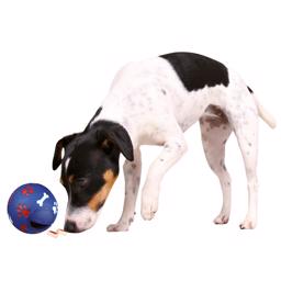 Trixie Snackboll För Rolig Aktivering av Hunden BLÅ med Tassavtryck
